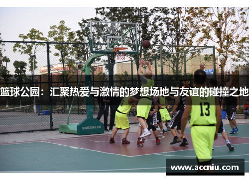 篮球公园：汇聚热爱与激情的梦想场地与友谊的碰撞之地