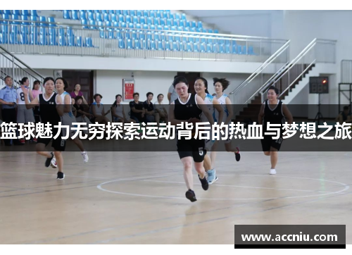 篮球魅力无穷探索运动背后的热血与梦想之旅