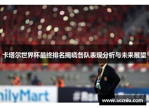 卡塔尔世界杯最终排名揭晓各队表现分析与未来展望