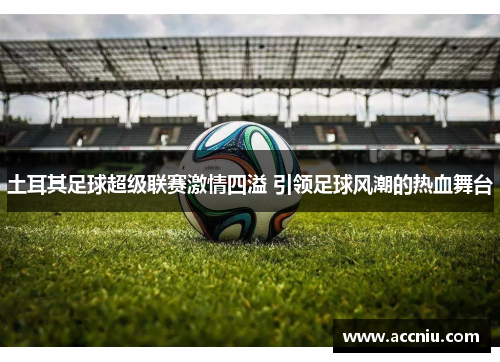 土耳其足球超级联赛激情四溢 引领足球风潮的热血舞台