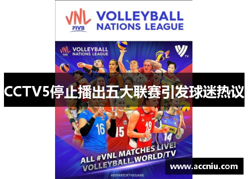 CCTV5停止播出五大联赛引发球迷热议